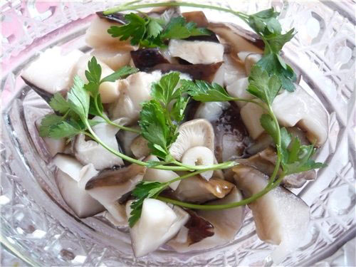 Cavallini marinati