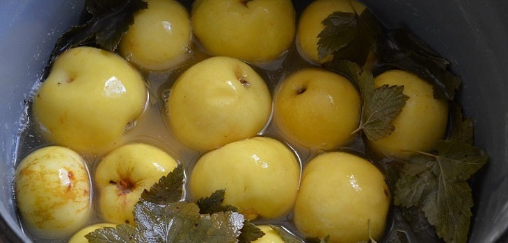 Ricetta per mele bagnate
