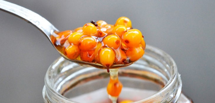 L'olivello spinoso per l'inverno, le migliori ricette: con lo zucchero, senza cottura, con miele, gelatina