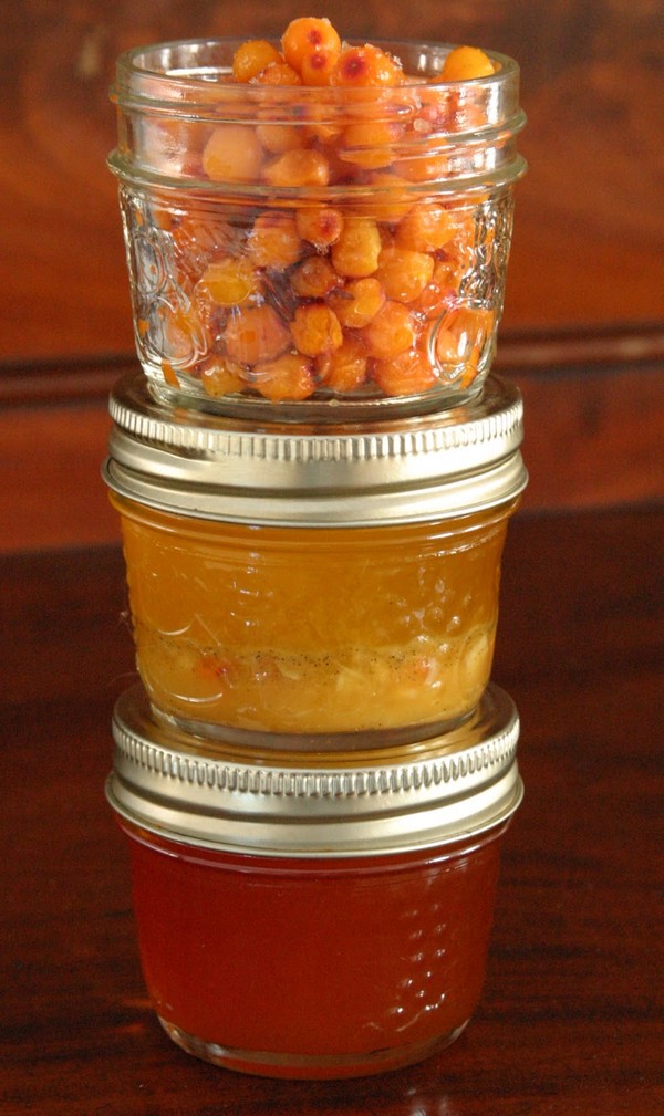 L'olivello spinoso per l'inverno, le migliori ricette: con lo zucchero, senza cottura, con miele, gelatina