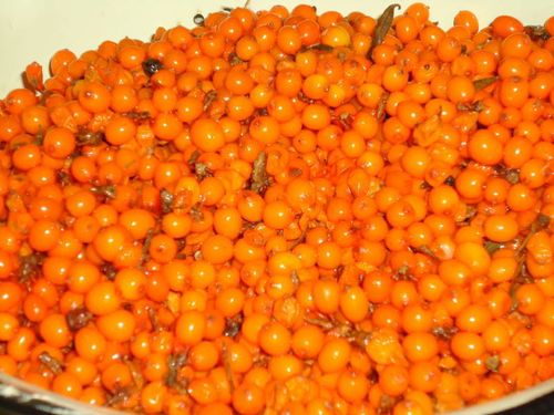 Marmellata pastorizzata di olivello spinoso