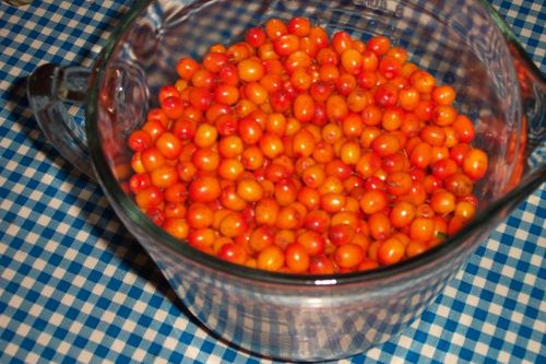 Marmellata pastorizzata di olivello spinoso