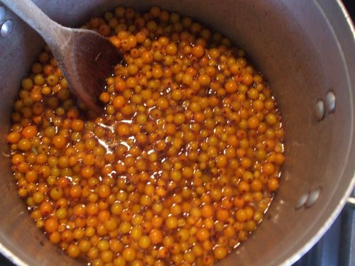 Marmellata pastorizzata di olivello spinoso