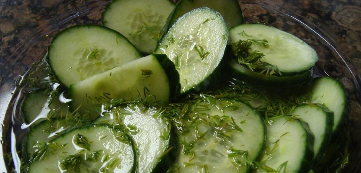 Cetrioli alla maniera fredda sotto berretto di nylon e metallo. Raccogliendo i cetrioli in modo freddo per l'inverno: con senape, vodka, aceto libero Cetrioli alla maniera fredda sotto berretto di nylon e metallo. Raccogliendo i cetrioli in modo freddo per l'inverno: con senape, vodka, aceto libero