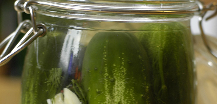 Cetrioli saporiti con aglio per l'inverno