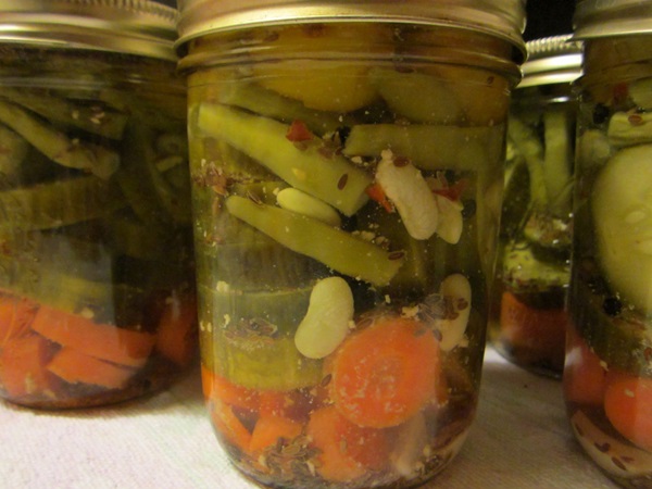 Cetrioli saporiti con aglio per l'inverno