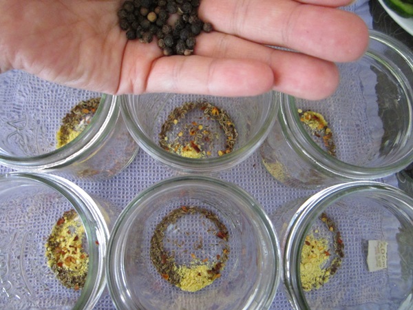 Cetrioli saporiti con aglio per l'inverno