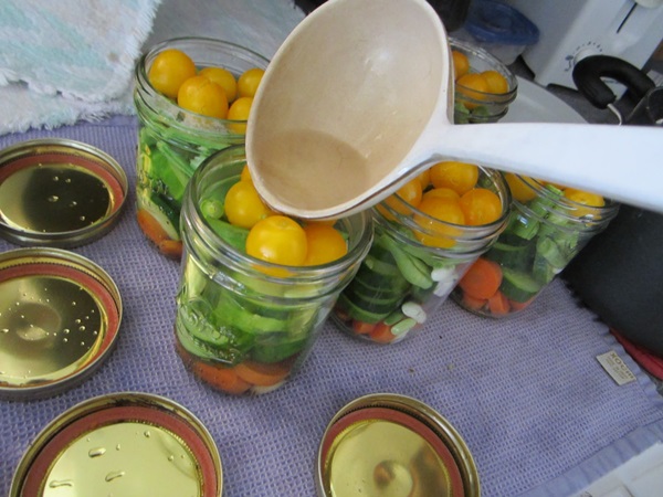 Cetrioli saporiti con aglio per l'inverno