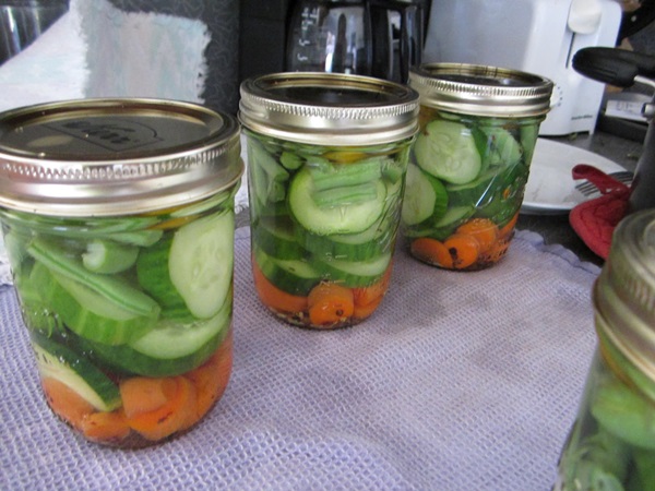 Cetrioli saporiti con aglio per l'inverno