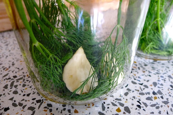 Cetrioli saporiti con aglio per l'inverno