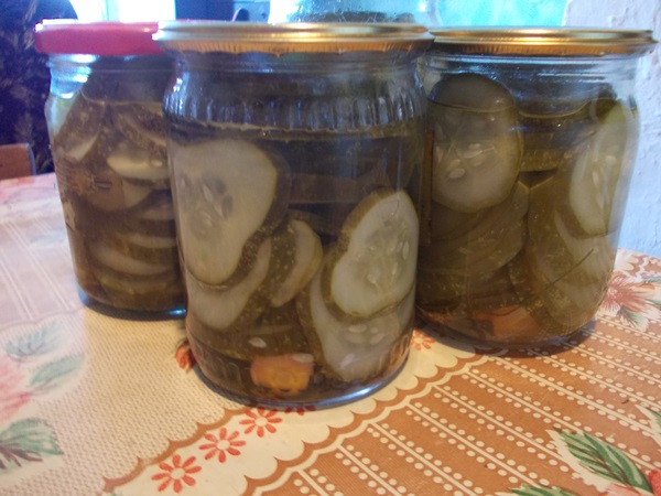 Cetrioli saporiti con aglio per l'inverno