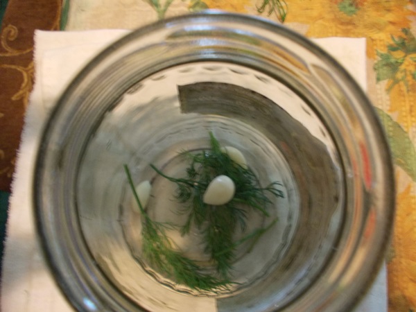 Cetrioli saporiti con aglio per l'inverno