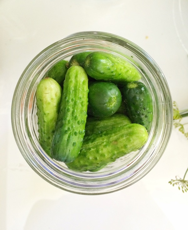 Cetrioli saporiti con aglio per l'inverno