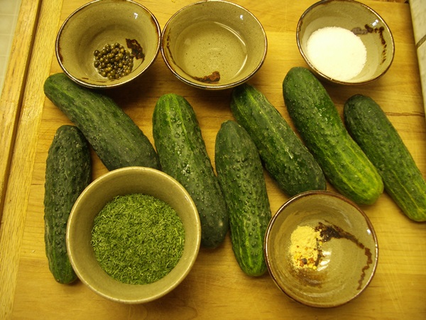 Cetrioli saporiti con aglio per l'inverno