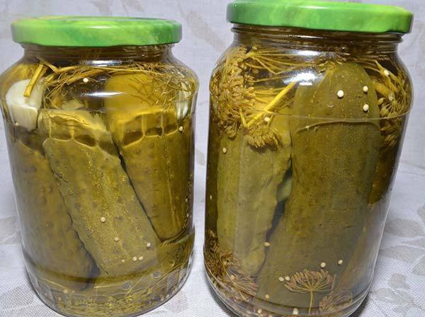 Cetrioli con senape per l'inverno senza sterilizzazione e con essa, caldo e freddo. Insalata di cetrioli sovrani con senape