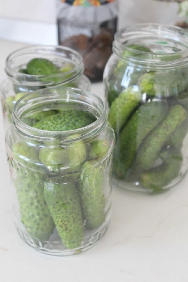 Cetrioli con senape per l'inverno in lattine, ricette con foto