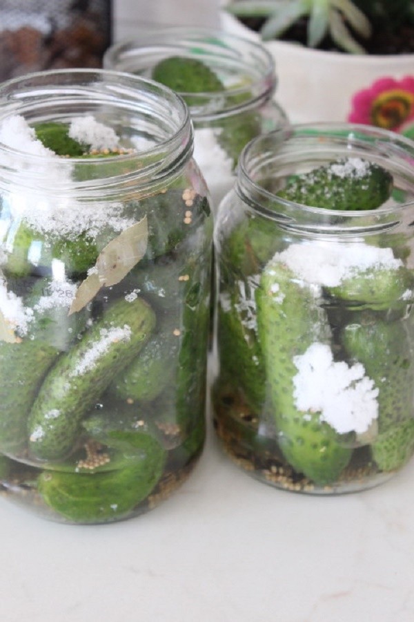 Cetrioli con senape per l'inverno in lattine, ricette con foto