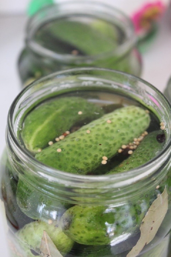 Cetrioli con senape per l'inverno in lattine, ricette con foto