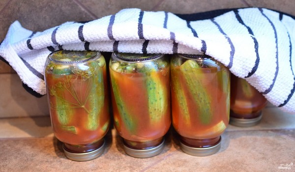 Cetrioli con ketchup per l'inverno - senza sterilizzazione, in lattina. Raccolta per inverno cetriolo affilato e croccante con peperoncino ketchup Cetrioli con ketchup per l'inverno - senza sterilizzazione, in lattina. Raccolta per inverno cetriolo affilato e croccante con peperoncino ketchup
