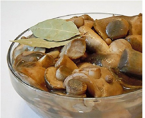 Conigli per l'inverno: metodi e ricette per le billette