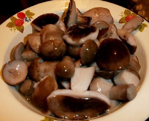 Conigli per l'inverno: metodi e ricette per le billette