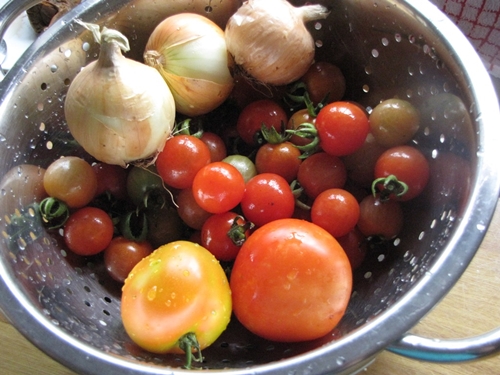 Pomodori cuneo per l'inverno con cipolle - esemplari di foto prescrizione