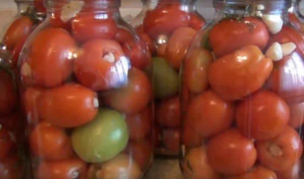 Pomodori con aglio per l'inverno, ricette. Raccolta di pomodori con aglio per l'inverno: una ricetta per una cottura veloce, senza sterilizzazione, salata senza fare il bagno
