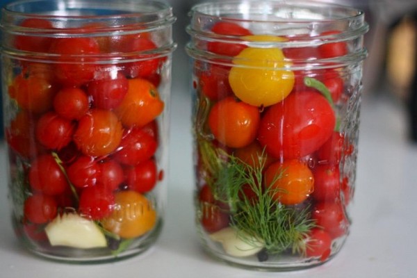 Pomodori in gelatina per l'inverno - ricette con cipolle, senza sterilizzazione. Pomodori sott'aceto raccolti in gelatina per l'inverno Pomodori in gelatina per l'inverno - ricette con cipolle, senza sterilizzazione. Pomodori sott'aceto raccolti in gelatina per l'inverno