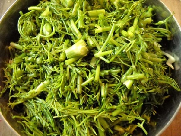 Ricette postali