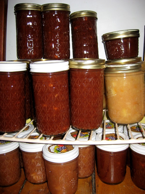 Come cucinare la marmellata dalle mele a casa