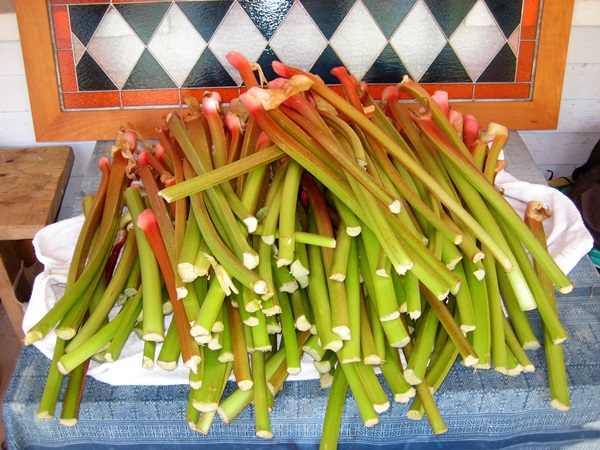 Come cucinare la marmellata dalle mele a casa