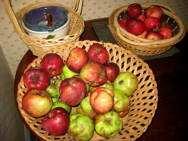 Come cucinare la marmellata dalle mele a casa