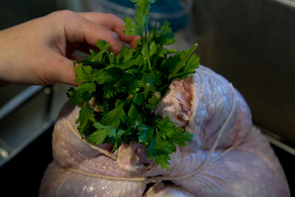 La ricetta del tacchino per il nuovo anno 2017 e il Natale - nel forno, multivark, in una padella con salsa di panna acida e verdure