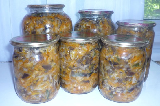 Hodgepodge di funghi per l'inverno con cavoli Hodgepodge di funghi per l'inverno con cavoli