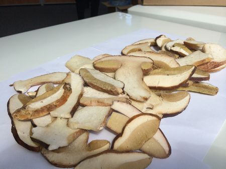 La ricetta della zuppa di funghi secchi, le sue proprietà utili