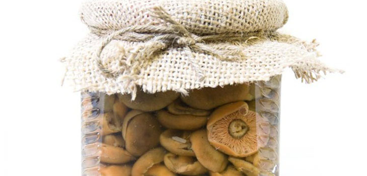 Rozhiki per l'inverno - ricette per il congelamento, il decapaggio Rozhiki per l'inverno - ricette per il congelamento, il decapaggio