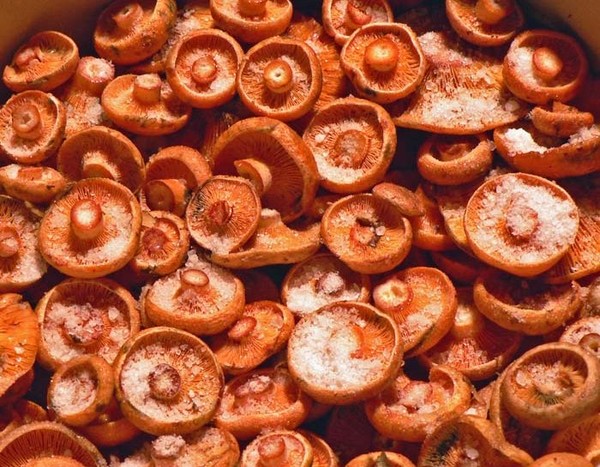 Rozhiki per l'inverno - ricette per il congelamento, il decapaggio