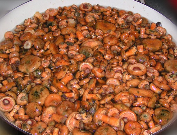Rozhiki per l'inverno - ricette per il congelamento, il decapaggio