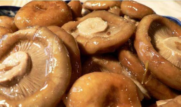 Rozhiki per l'inverno - ricette per il congelamento, il decapaggio