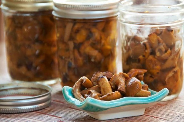 Rozhiki per l'inverno - ricette per il congelamento, il decapaggio