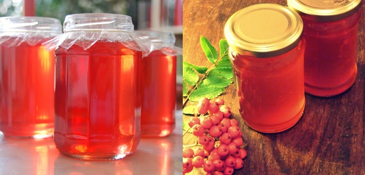 Rowan per l'inverno: ricette per billette dal consueto chokeberry rosso e nero