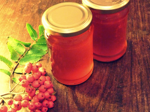 Rowan per l'inverno: ricette per billette dal consueto chokeberry rosso e nero