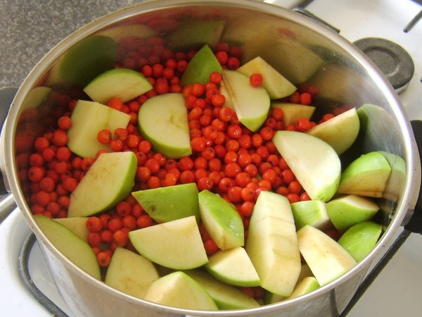 Rowan per l'inverno: ricette per billette dal consueto chokeberry rosso e nero