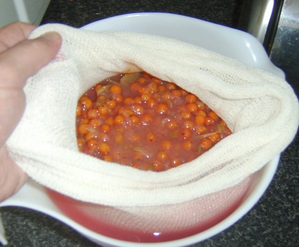 Rowan per l'inverno: ricette per billette dal consueto chokeberry rosso e nero