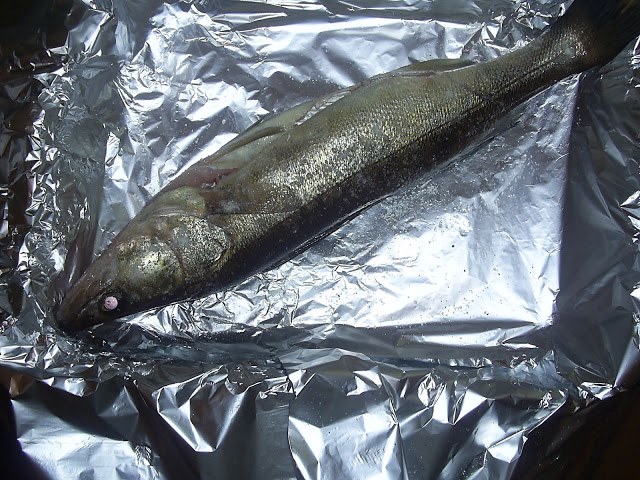 pesce sul foglio