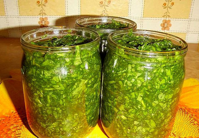 Come rotolare acetosella per l'inverno con sale Come rotolare acetosella per l'inverno con sale