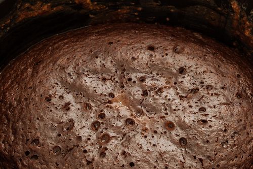 Cupcake al cioccolato in multivarquet - ricetta veloce con foto