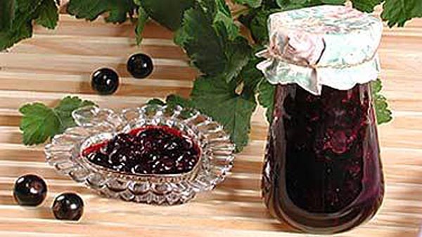 Ribes con zucchero per l'inverno senza cottura, Pyatiminutka, congelato. Ricetta di ribes, grattugiata con zucchero per l'inverno (senza frigorifero) Ribes con zucchero per l'inverno senza cottura, Pyatiminutka, congelato. Ricetta di ribes, grattugiata con zucchero per l'inverno (senza frigorifero)
