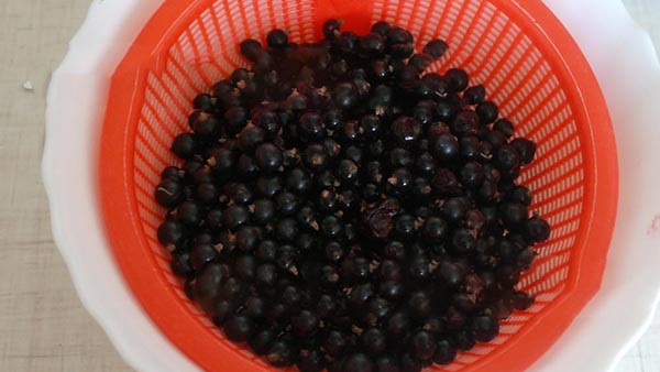 Ribes con zucchero per l'inverno senza cottura, Pyatiminutka, congelato. Ricetta di ribes, grattugiata con zucchero per l'inverno (senza frigorifero)