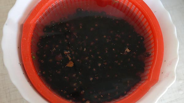 Ribes con zucchero per l'inverno senza cottura, Pyatiminutka, congelato. Ricetta di ribes, grattugiata con zucchero per l'inverno (senza frigorifero)